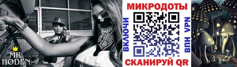 Галлюциногенные грибы Psilocybine cubensis  Ковдор 