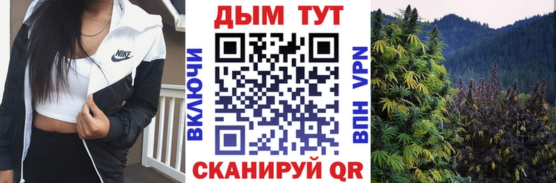 где купить наркоту Ковдор даркнет формула Шишки марихуана VHQ